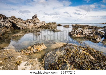 Rocks At Howick
