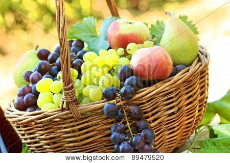 Fresh organic autumn fruits