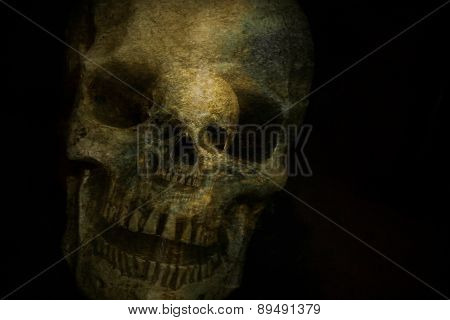 Ghost Skull