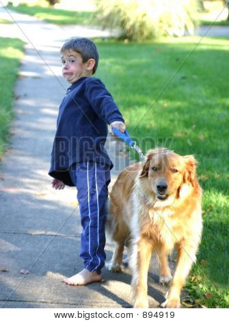 Erkek köpek yürüyen