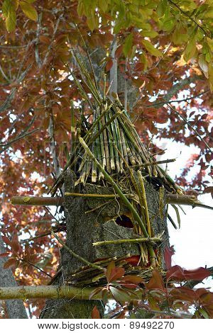 Tree Hut Birdhouse