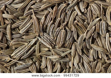 Caraway (carum Carvi) Seeds Background