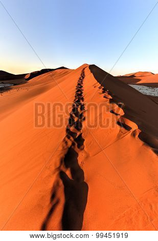 Sossusvlei, Namibia