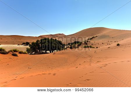 Sossusvlei, Namibia