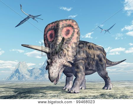 Torosaurus and Quetzalcoatlus