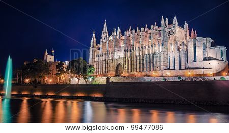 Palma de Mallorca's Cathedral at Night