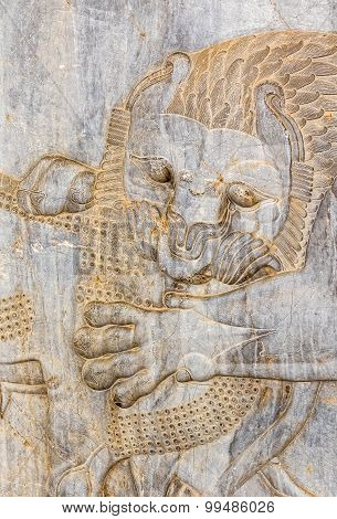 Lion relief detail Persepolis