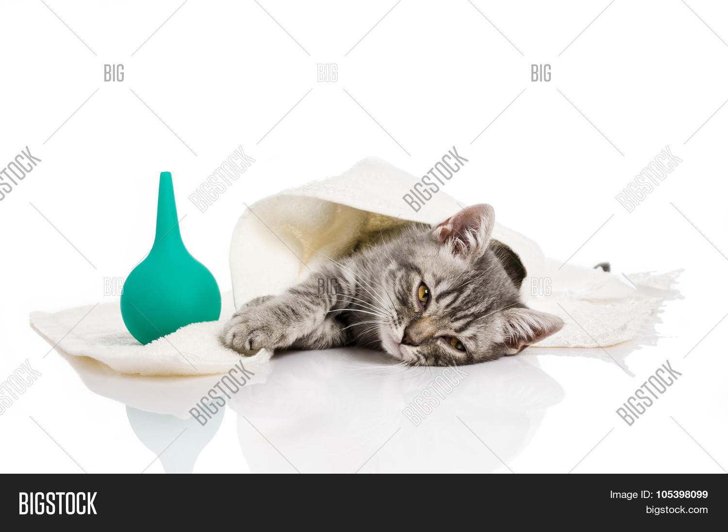 Little Kitten Sick, Image & Photo (Free Trial) Bigstock