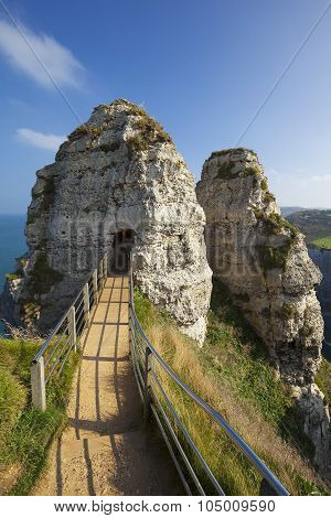 Hollow Needle
