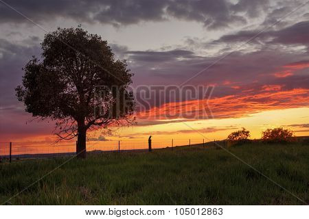 Sunset Greenthorpe Australia