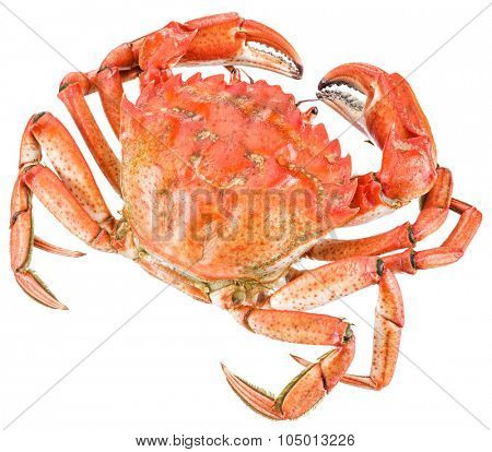 Cooked crab. File contains clipping paths.