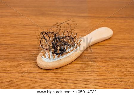 Fallen hair on the comb