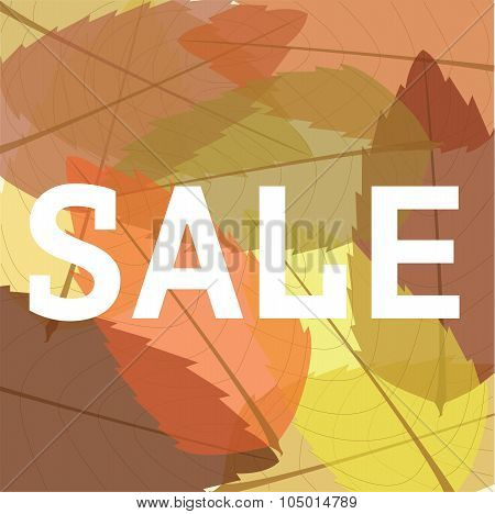 Autumn Sale Sign On The Leaves
