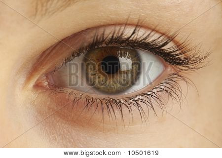 Close up dell'occhio