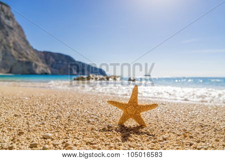 Starfish on  Porto Katsiki beach on Ionian Sea Lefkada, Greece