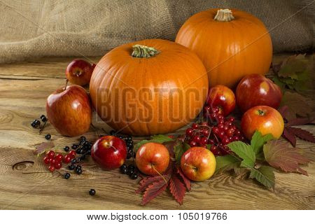 Pumpkins, Apples, Berries