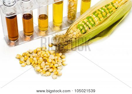Corn Generated Ethanol In Test Tubes, With Biofuel On Maize