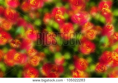 Blurred floral background.