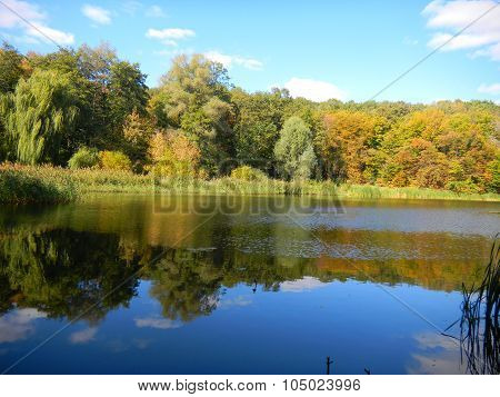 The lake in autumn park