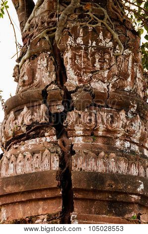 Close up of tree growing out a temple