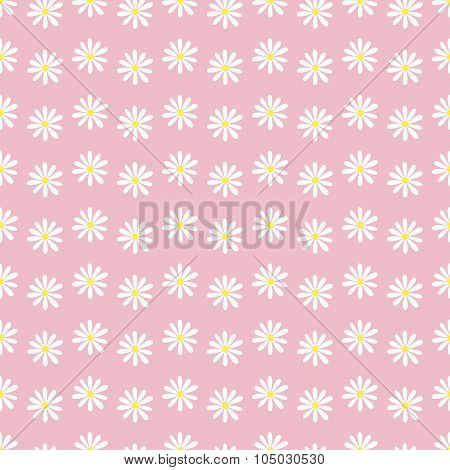 Camomile