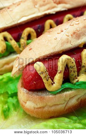 Hot Dog Close Up