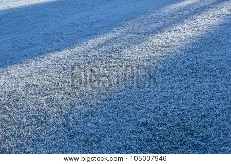 Morning frost