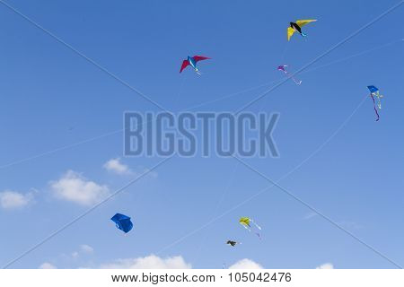 Sky Full Of Kites