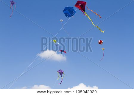 Sky Full Of Kites
