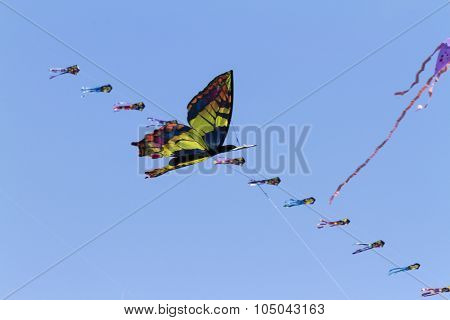 Colorful Kites Flying  In Single File In The Sky