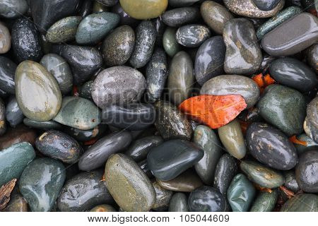 Wet, gray ornamental rocks with an orange leaf