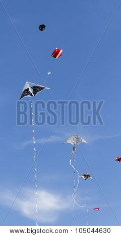 Sky Full Of Kites