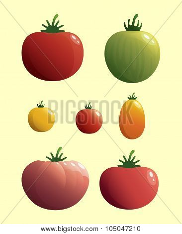Tomatoes_1