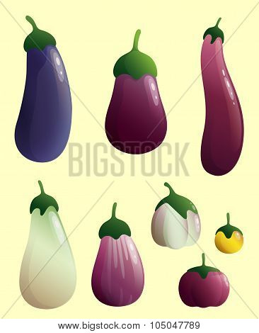 Eggplant_1