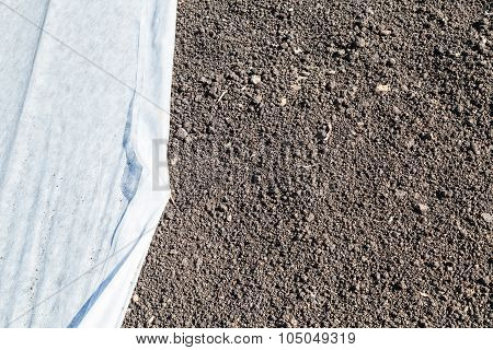 Lawn With Grass Seed And Covering Nonwoven Fabric