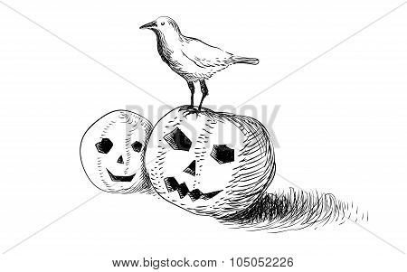 halloween crow  spooky pumpkin
