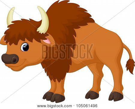 Cute bison cartoon