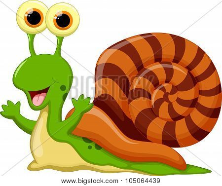 Cute snail cartoon