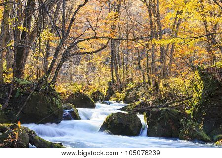 Oirase Gorge In Towada, Aomori, Japan