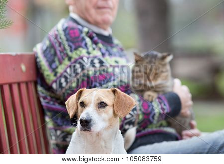 Senior Man With Pets