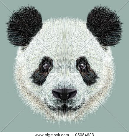Illustrative portrait of Panda.