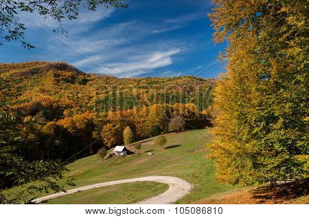 Autumn Landscape