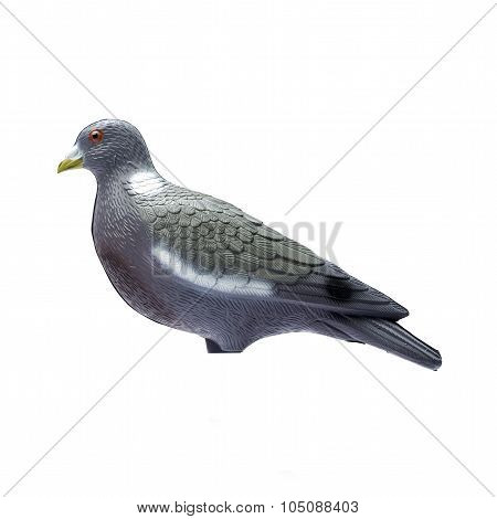 Plastic Pigeon Decoy Isolate On A White Background