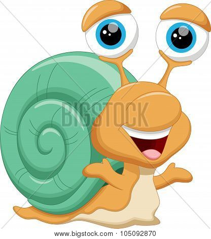 Cute snail cartoon