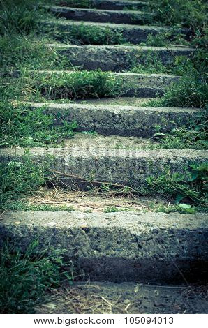 Old Stone Staircase, Overgrown With Grass, Tinted Photo