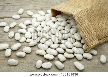 Large White Beans