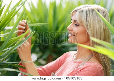 Professional florist working in  greenhouse