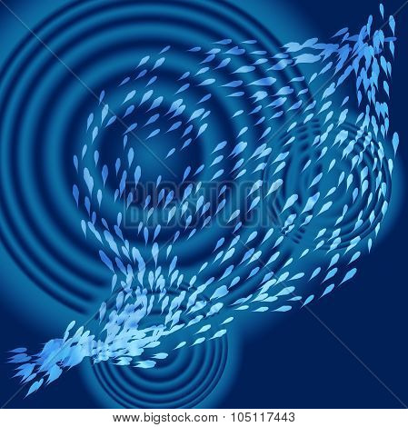 Shoal Of Fish
