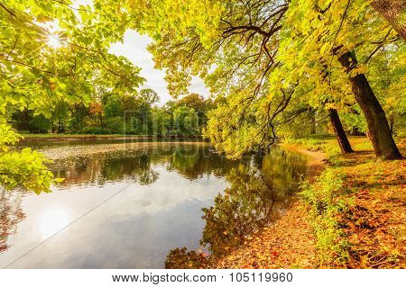 Saint Petersburg/Russia - October 09, 2015: Beautiful Autumn Park On Yelagin Island
