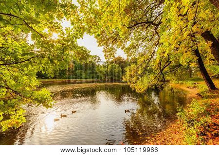 Beautiful Autumn Park On Yelagin Island